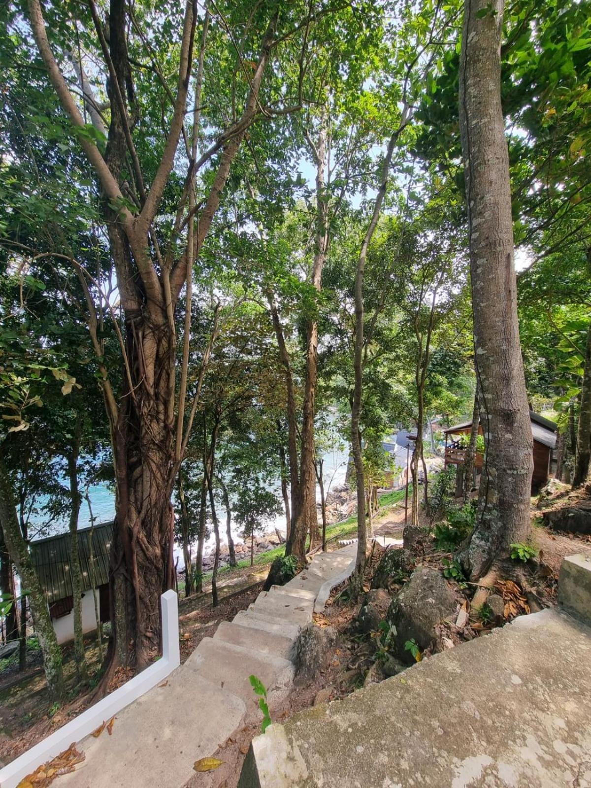 Treetop Guesthouse And Bungalows Sabang  Exterior foto