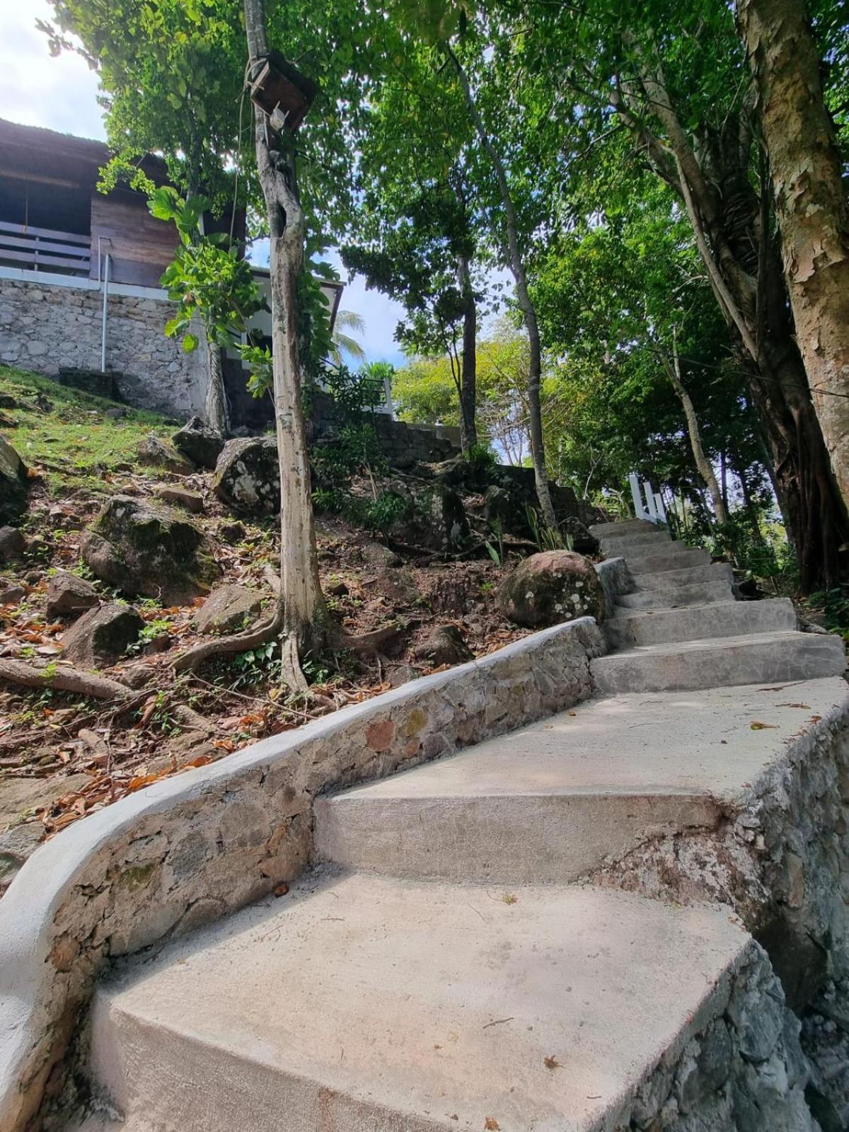 Treetop Guesthouse And Bungalows Sabang  Exterior foto