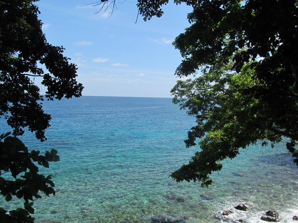Treetop Guesthouse And Bungalows Sabang  Exterior foto